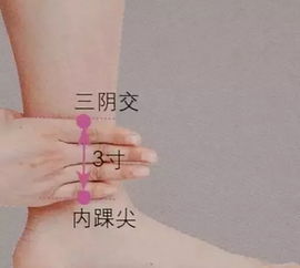 艾灸美容 古老養顏術的實現路徑與科學機理